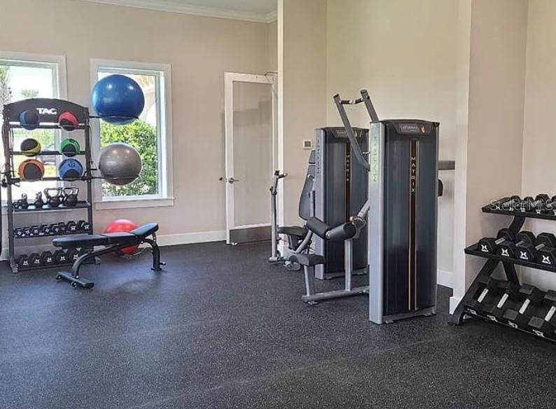 Photo 15 of 20: Amenity Center - Gym