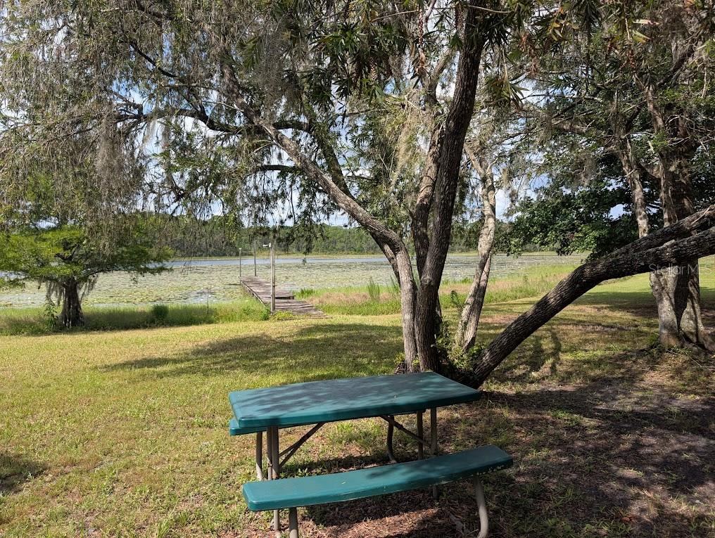 Photo 6 of 20: PICNIC AREA