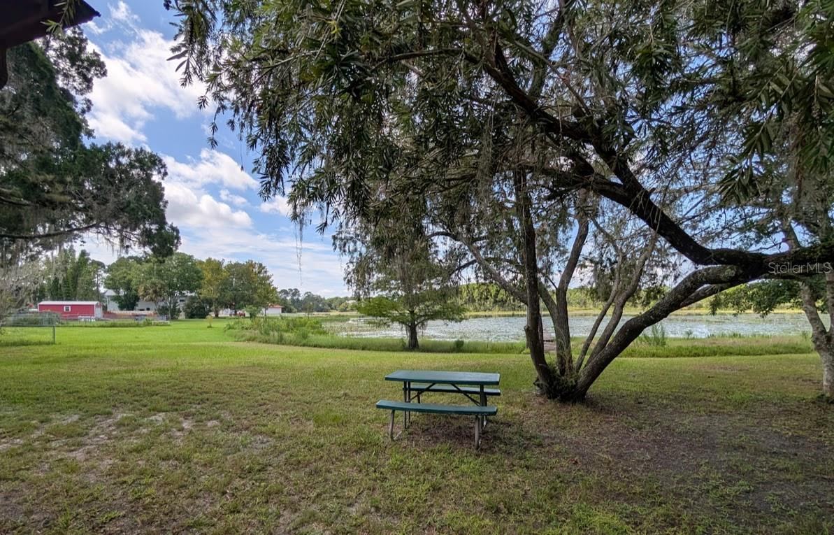Photo 7 of 20: PICNIC AREA