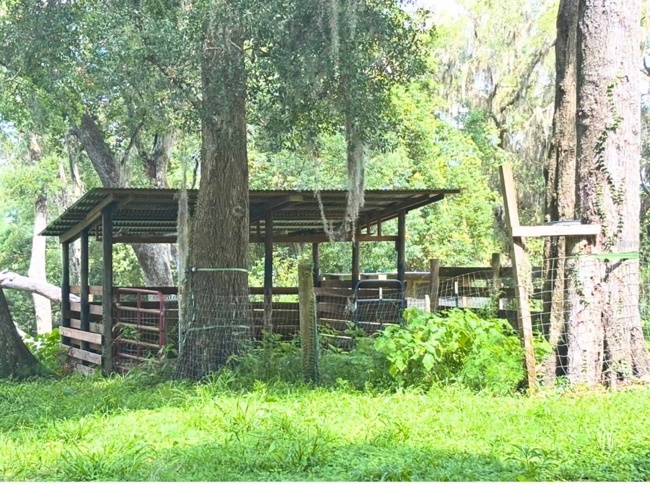 Photo 4 of 20