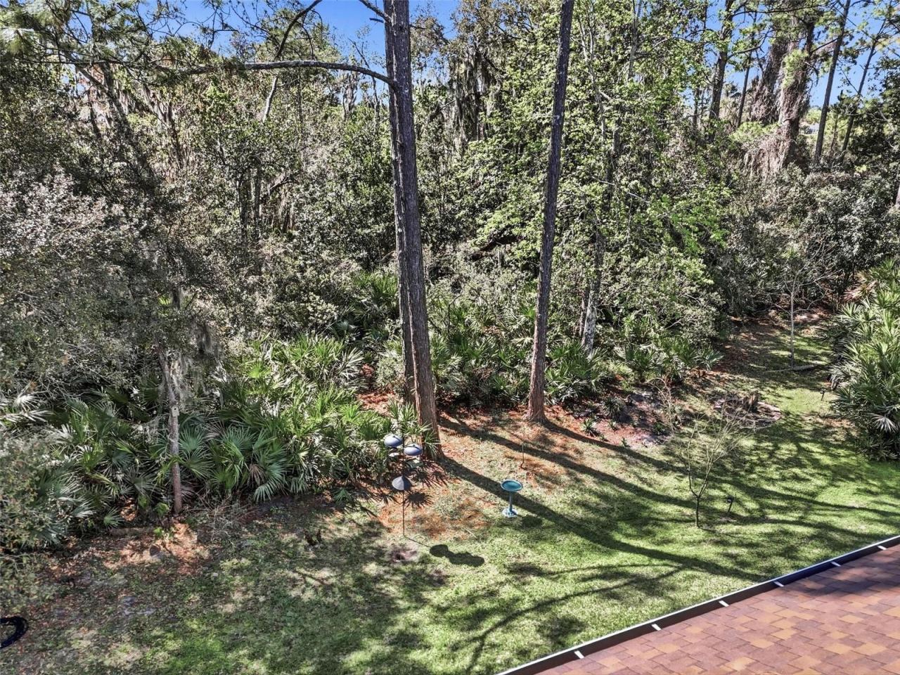 Photo 9 of 20