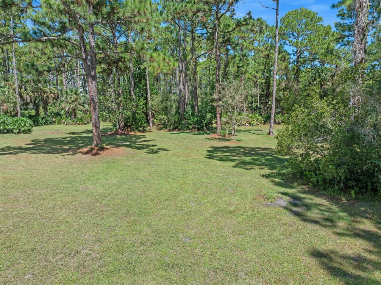 Photo 7 of 20