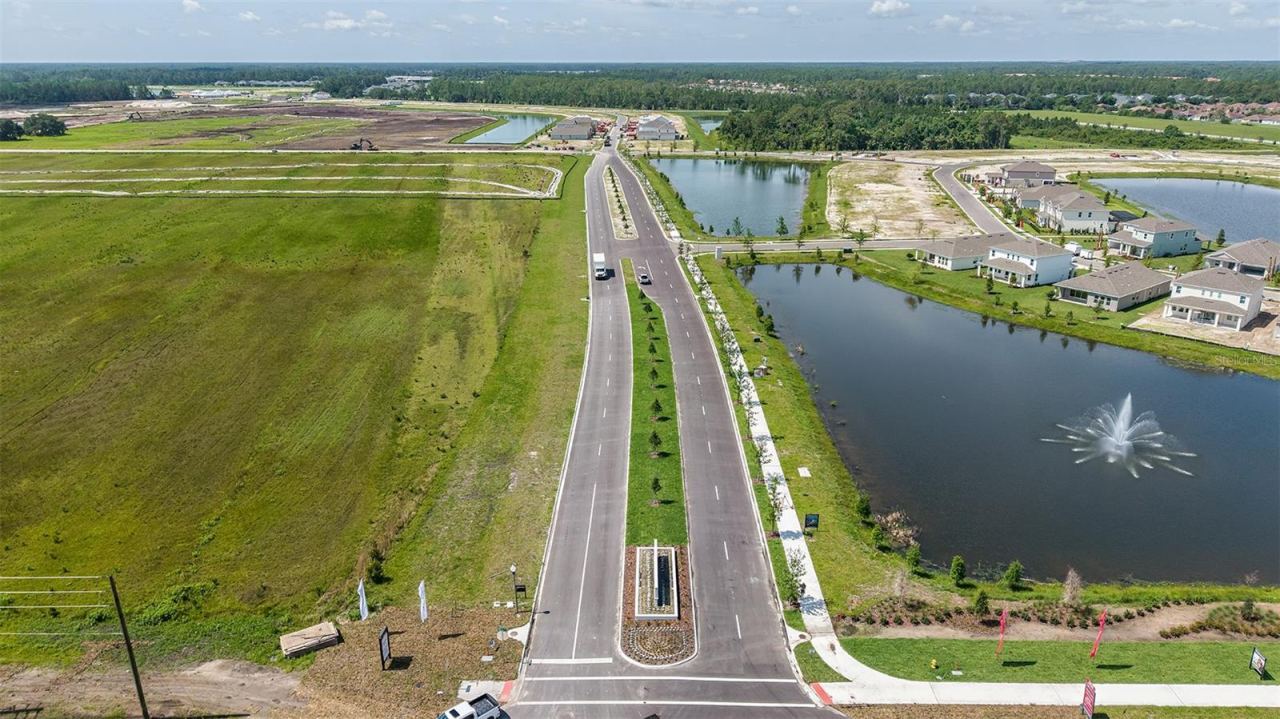 Photo 20 of 20: Ardisia Park Community
