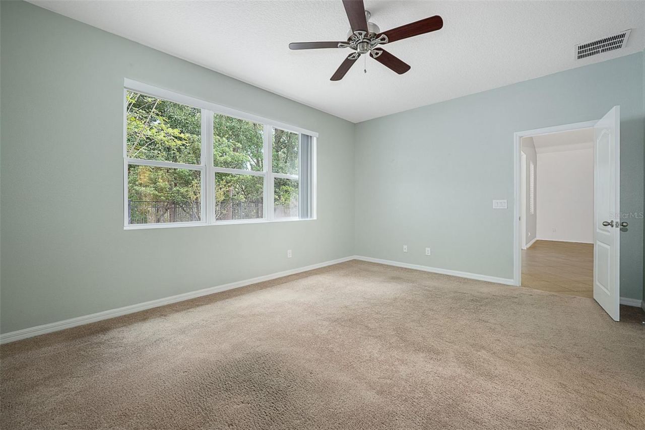 Photo 20 of 20