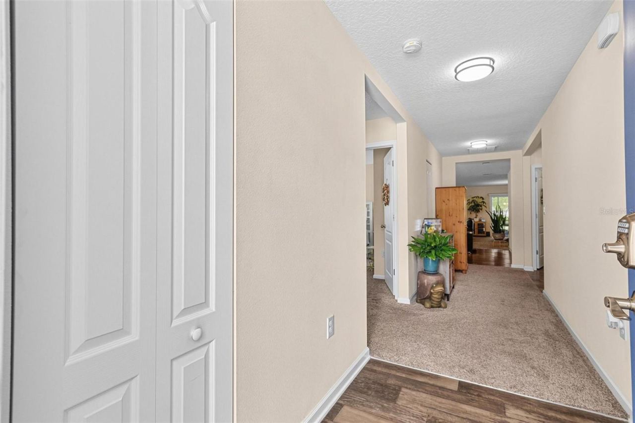 Photo 7 of 20